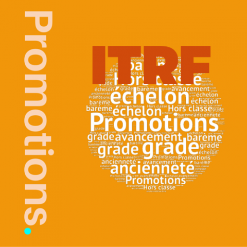 promo la itrf